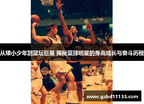 从矮小少年到篮坛巨星 揭秘篮球明星的身高成长与奋斗历程