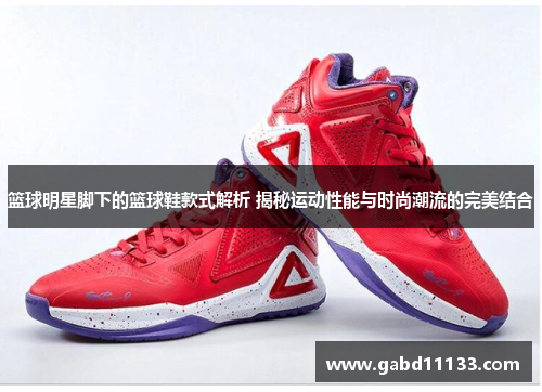 篮球明星脚下的篮球鞋款式解析 揭秘运动性能与时尚潮流的完美结合
