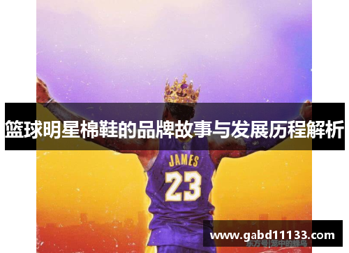篮球明星棉鞋的品牌故事与发展历程解析
