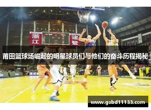 莆田篮球场崛起的明星球员们与他们的奋斗历程揭秘