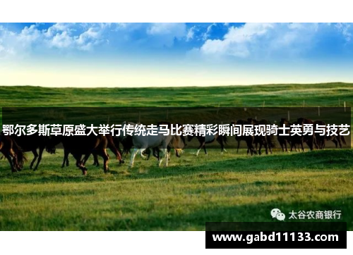 鄂尔多斯草原盛大举行传统走马比赛精彩瞬间展现骑士英勇与技艺